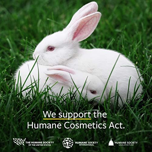 US Organic Body Oil - Elegant Lavender - Jojoba and Rosehip Oil with Vitamin E, Certified Organic, No Alcohol, Paraben, Artificial Detergents, Color or Synthetic perfumes, 5 Fl.oz. (Lavender)