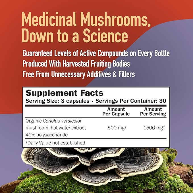 Turkey Tail Mushroom Capsules, Coriolus Super Strength, Natural Mushroom Supplement for Adults, Health Support, Hot Water Extracted Mushrooms, Vegetarian, 500MG, 90 CT