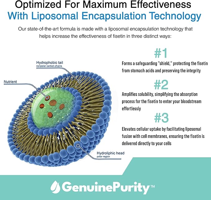 Fisetin 150mg | Supplement for Aging Cognitive Support | Pure Fisetin Supplement - Powerful Serving Size | Gluten Free, Vegan, USA Made, Non-GMO | 60 Capsules