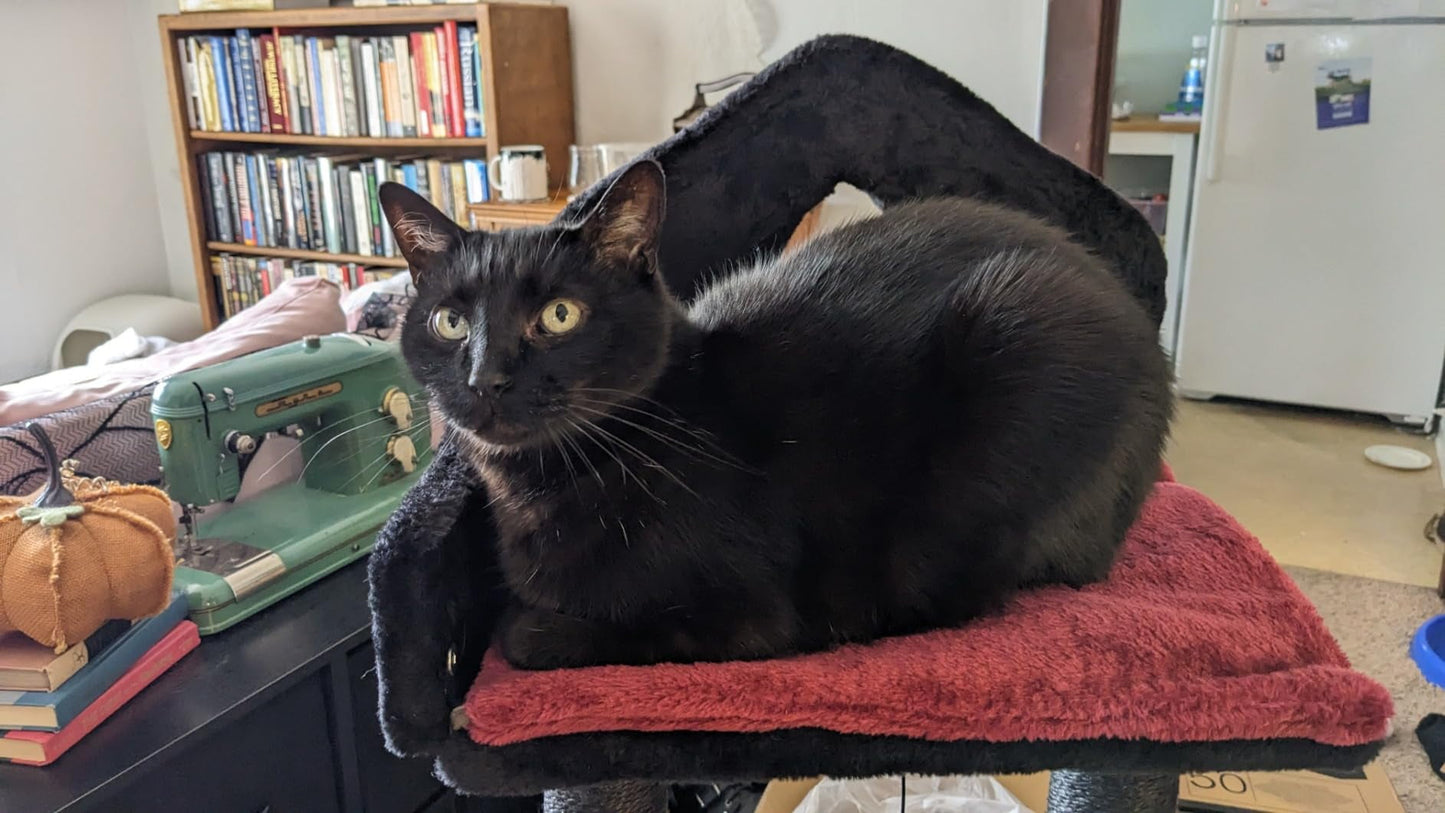 PawNest black gothic cat tree, Black