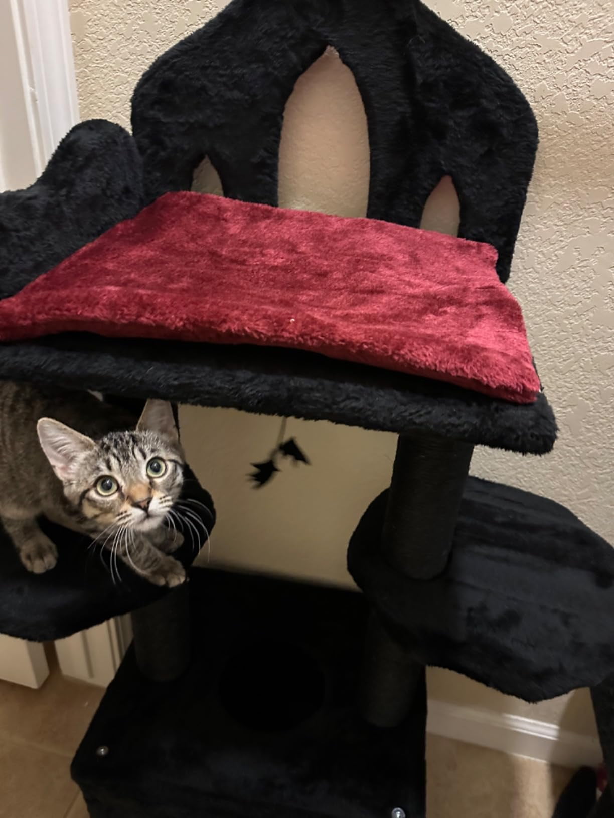 PawNest   black gothic cat tree, Black