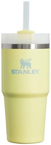 Stanley Quencher H2.0 FlowState Stainless Steel Vacuum Insulated Tumbler with Lid and Straw for Water, Iced Tea or Coffee, Smoothie and More, Pomelo, 14oz