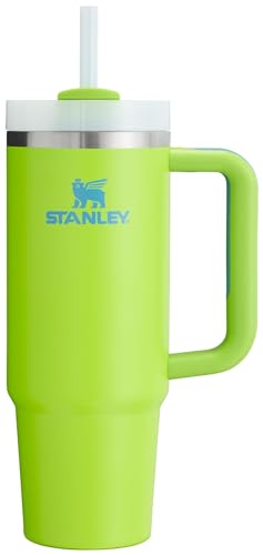 Stanley Quencher H2.0 FlowState Stainless Steel Vacuum Insulated Tumbler with Lid and Straw for Water, Iced Tea or Coffee, Smoothie and More, Bright Lime, 30 oz