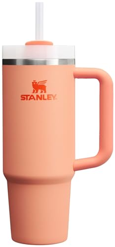 Stanley Quencher H2.0 FlowState Stainless Steel Vacuum Insulated Tumbler with Lid and Straw for Water, Iced Tea or Coffee, Smoothie and More, Nectarine, 30oz