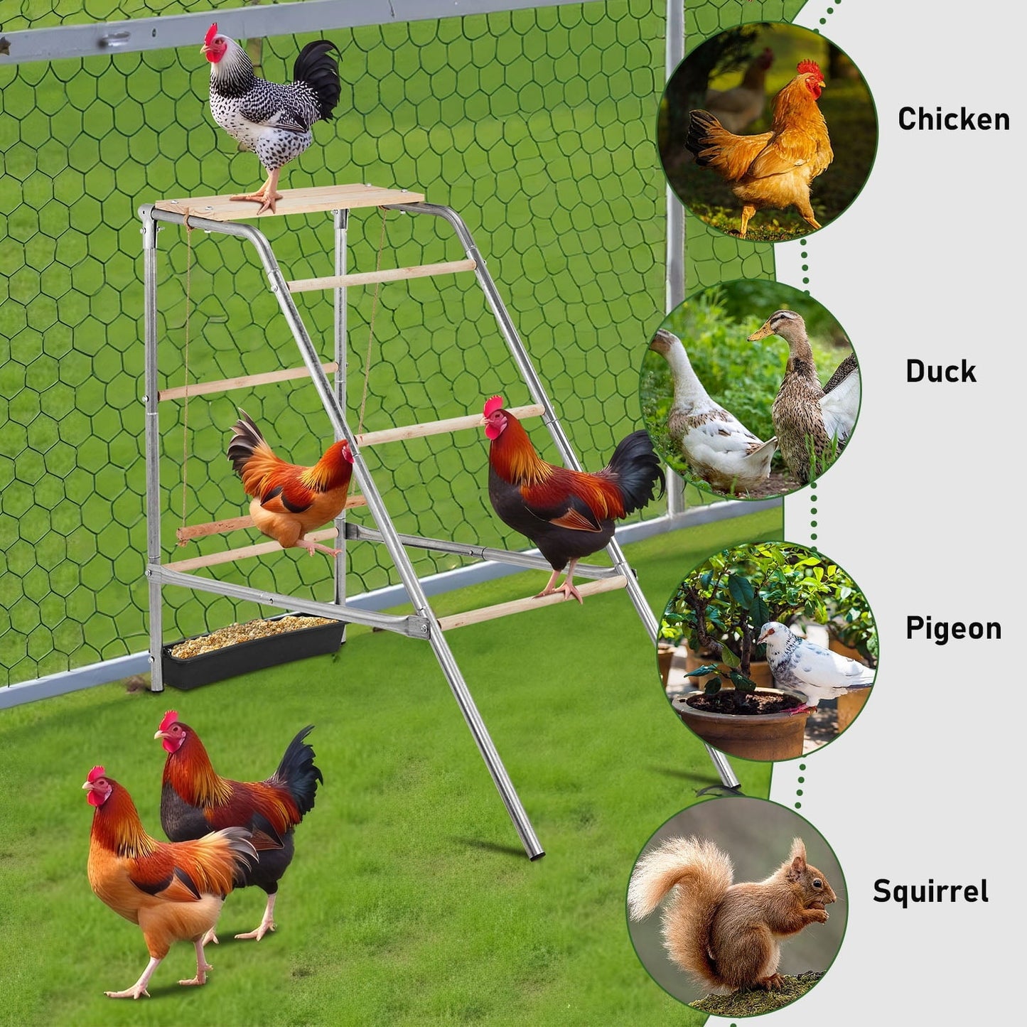 ZephyPaws Outdoor Chicken Coop Roosting Perch, Farm Roost Toys for Chicks, Chicken Toys for Coop Accessories for Backyard Poultry, Easy to Assemble & Clean(42'L x 19'W x 39.5'H)