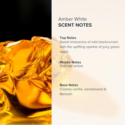 Anthology Amber White Roll on Perfume Oil for Women 0.3oz 9 ML | Amber, Vanilla, Sandalwood | Alcohol Free Rollerball | Clean & Cruelty-Free Fragrance