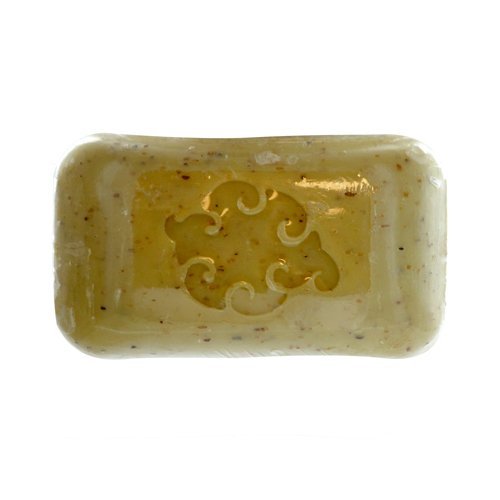 Baudelaire Hand Soap Sea Loofah - 5 Oz, 5 Pack
