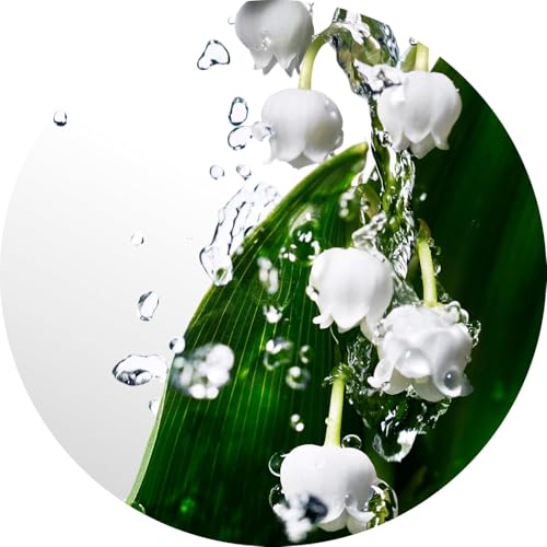 Premium Designer Brands Cool Water Perfume for Women Eau de Toilette Spray 1 oz Bundle with Refillable Perfume Atomizer Bottle and Lipstick Balm