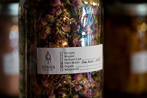 Moonstone Solid Perfume – Neroli, Bergamot, Lavender, Vetiver, Sweet Orange, Texas Cedarwood – Convenient Twist Tube for Travel – Award Winning - Natural Solid Eau de Parfum – 0.17 ounce