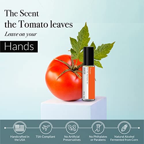 DEMETER Tomato Roll On Perfume Oil, 0.33 Oz, Long-Lasting