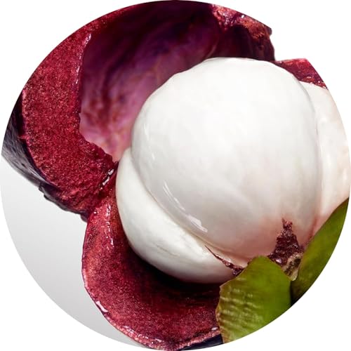 Premium Designer Brands Cool Water Perfume for Women Eau de Toilette Spray 1 oz Bundle with Refillable Perfume Atomizer Bottle and Lipstick Balm