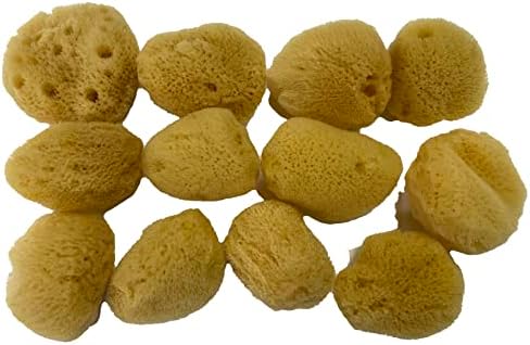 Soft Natural 12 Silk Sponges 1.5" Cosmetic Makeup Application Removal Face Eye Nail Cleaning Like Cotton Balls Awesome Aquatic Creating The Perfect Bath & Shower (12 Pack 1.5" Silk)
