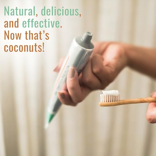 Dr. Ginger's Coconut Oil Charcoal Toothpaste for Sensitive Teeth and Gums - Mint Flavor, 4oz 2pcs - All-Natural White Activated Charcoal Whitening Toothpaste – Freshens Breath and Reduces Plaque