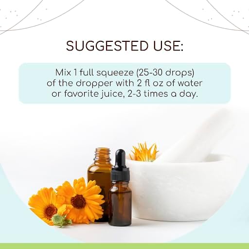 White Willow B120 (2pcs) Alcohol-Free Herbal Extract Tincture, Concentrated Liquid Drops Natural USDA Organic White Willow (Salix Alba) Dried Bark (2x4 fl oz)
