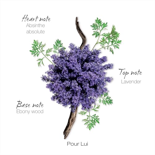 Mauboussin - Pour Lui 100ml (3.3 Fl Oz) - Eau de Parfum for Men - Fern & Modern Scents