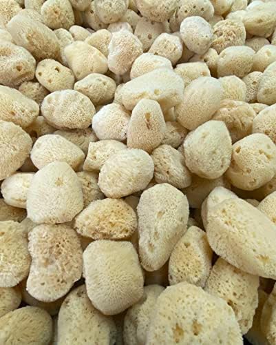 Soft Natural 12 Silk Sponges 1.5" Cosmetic Makeup Application Removal Face Eye Nail Cleaning Like Cotton Balls Awesome Aquatic Creating The Perfect Bath & Shower (12 Pack 1.5" Silk)