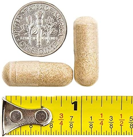 BariatricPal 90-Day Bariatric Vitamin Bundle (Multivitamin ONE 1 per Day! Capsule with 45mg Iron and Calcium Citrate Soft Chews 500mg with Probiotics - Chocolate Mint)