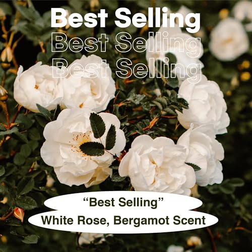 skybottle Hair & Body Mist, Lasting Fragrance with Bergamot, White Rose Scent, Travel Size Perfume and Body Spray, Hygiene Essentials for Women, 3.4 Fl. Oz