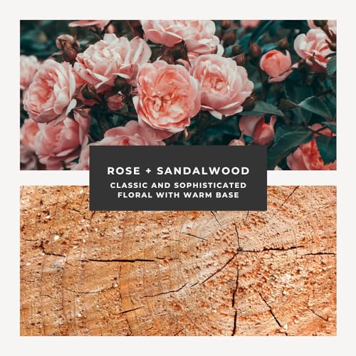 Herb & Root Rose & Sandalwood Eau de Parfum: Long-Lasting Clean Vegan Perfume for Women with Natural Oils, Cruelty-Free Womens Fragrance, Body Spray, Perfumes para Mujer