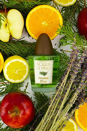 Acqua Di Pino Fougere By Pino Silvestre For Men - A Men's Eau De Toilette Cologne Perfume Spray With An Intense Fragrance For Every Guy - A Truly Male Musk For The Fierce Man In Your Life - 4.2 Oz