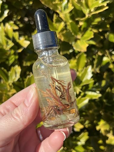 Rose of Jericho Ritual Oil | Manifestation New Beginnings Fast Good Luck The Resurrection Plant Body Perfume Anointing Witchcraft Wiccan Pagan Witch Herbal Intention Offerings