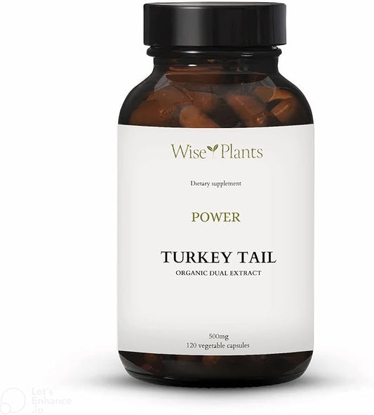 Turkey Tail Mushroom Supplement. Dual Extract, Pure Fruiting Body, 30% Polysaccharides, 500 mg, 120 vegecaps (60-Day Supply). Can Support Healthy Immune Function