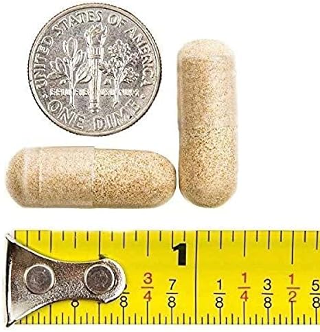 BariatricPal 90-Day Bariatric Vitamin Bundle (Multivitamin ONE 1 per Day! Capsule with 60mg Iron and Calcium Citrate Soft Chews 500mg with Probiotics - Caramel Apple)