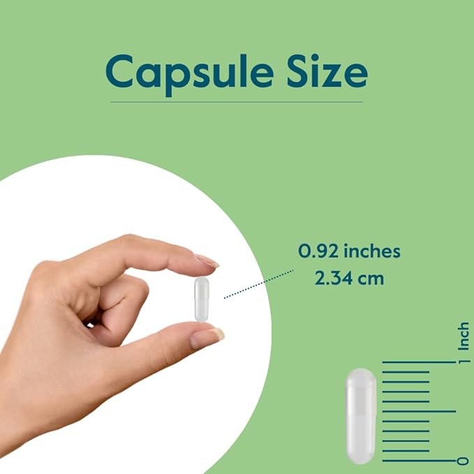 BESTVITE Pantothenic Acid 500mg (Vitamin B5)(240 Vegetarian Capsules) - No Stearates - No Gelatin - No Calcium Silicate - Vegan - Non GMO - Gluten Free