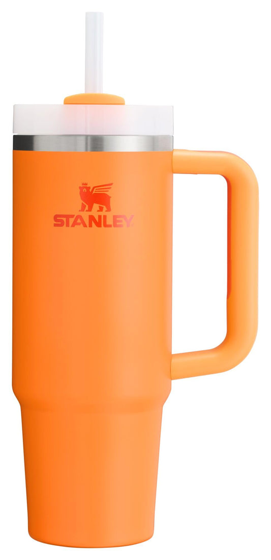 Stanley Quencher H2.0 FlowState Stainless Steel Vacuum Insulated Tumbler with Lid and Straw for Water, Iced Tea or Coffee, Smoothie and More, Goldenrod, 30 oz