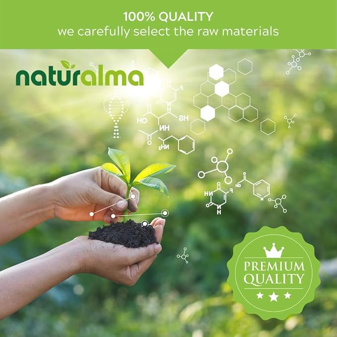 Naturalma Lemon Balm (Melissa officinalis) Leaf Alcohol-Free Tincture - 16.9 fl oz Liquid Extract in Drops - Herbal Supplement - Vegan