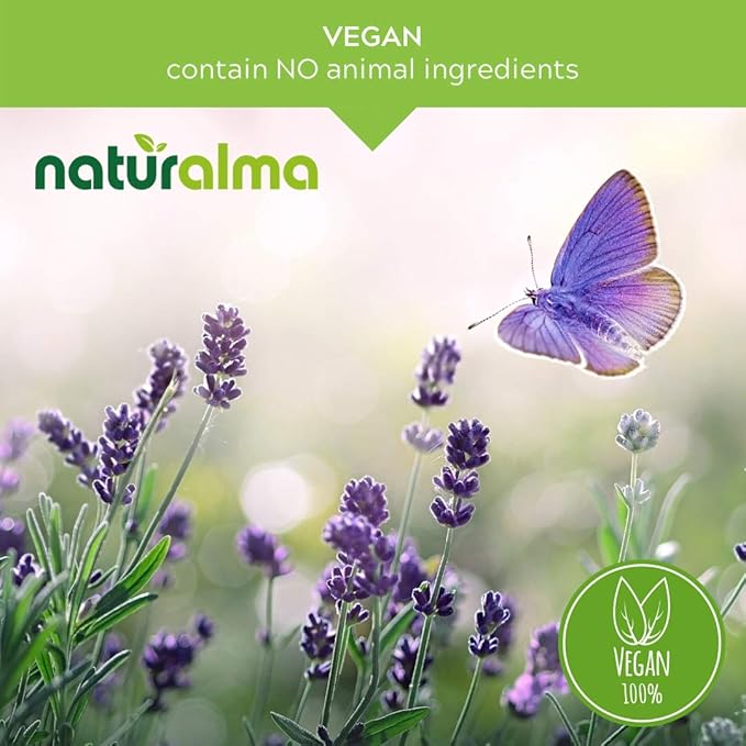 Naturalma Goldenrod (Solidago virgaurea) herb with Flowers Alcohol-Free Tincture - 6.76 fl oz Liquid Extract in Drops - Herbal Supplement - Vegan