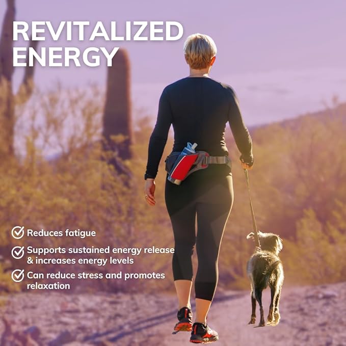 B1 Supplement(TTFD) – Energy Production, Cognitive Health,Digestion Support – 100 Capsules