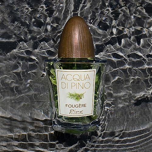 Acqua Di Pino Fougere By Pino Silvestre For Men - A Men's Eau De Toilette Cologne Perfume Spray With An Intense Fragrance For Every Guy - A Truly Male Musk For The Fierce Man In Your Life - 4.2 Oz