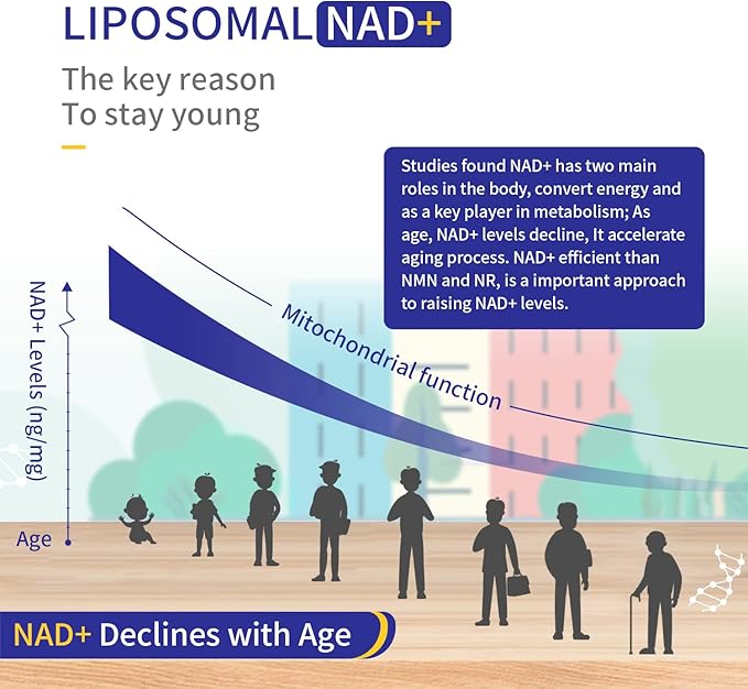 Liposomal NAD+ 500mg with TMG 300mg, Actual NAD+ Supplement (Not a Precursor) More Efficient Than NMN, Nicotinamide Riboside Alternative for Cell Energy, Healthy Aging and Muscle Repair 180 Capsules