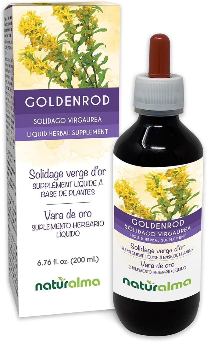 Naturalma Goldenrod (Solidago virgaurea) herb with Flowers Alcohol-Free Tincture - 6.76 fl oz Liquid Extract in Drops - Herbal Supplement - Vegan