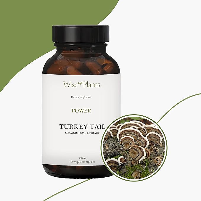 Turkey Tail Mushroom Supplement. Dual Extract, Pure Fruiting Body, 30% Polysaccharides, 500 mg, 120 vegecaps (60-Day Supply). Can Support Healthy Immune Function
