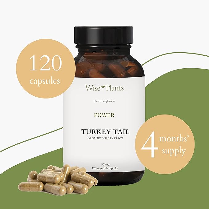Turkey Tail Mushroom Supplement. Dual Extract, Pure Fruiting Body, 30% Polysaccharides, 500 mg, 120 vegecaps (60-Day Supply). Can Support Healthy Immune Function