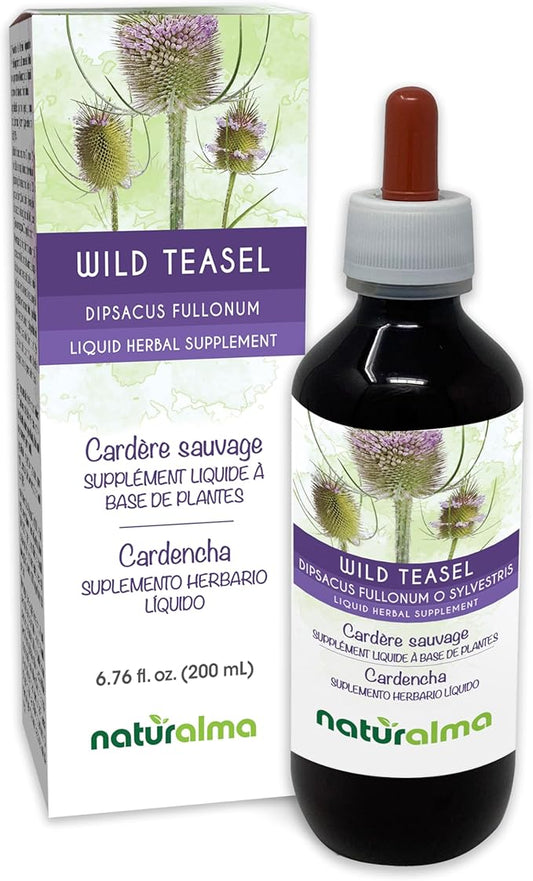 Naturalma Wild Teasel or Fuller's Teasel (Dipsacus fullonum or D. sylvestris) Root Alcohol-Free Tincture - 6.76 fl oz Liquid Extract in Drops - Herbal Supplement - Vegan