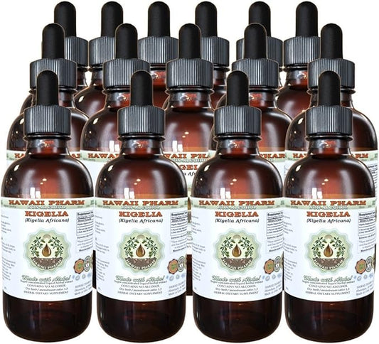 Kigelia Alcohol-Free Liquid Extract, Kigelia (Kigelia Africana) Dried Fruit Glycerite Hawaii Pharm Natural Herbal Supplement 15x4 oz