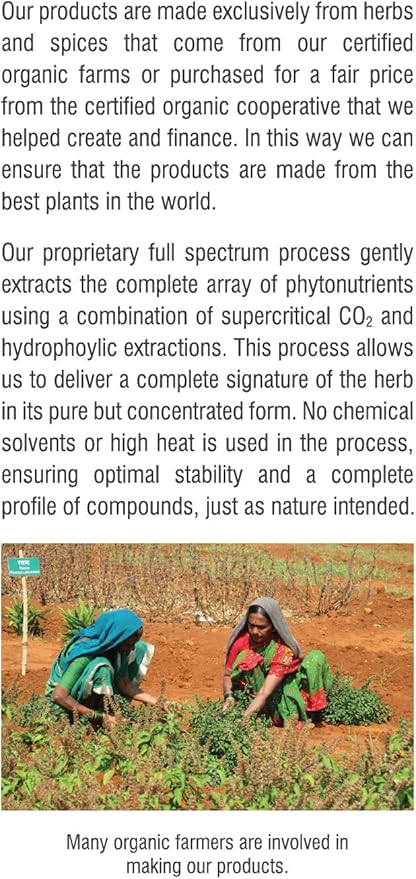 Amla Capsules (Amalaki) - Immune Support, Vegan, Gluten-Free, Ayurvedic, Antioxidant, Certified Organic Amla