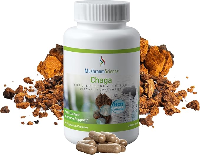 Chaga Mushroom Capsules, Full Spectrum Extract, Natural Antioxidant Mushroom Supplement for Adults, Health Support, Hot Water Extracted Mushrooms, Vegetarian, 300MG, 90 CT