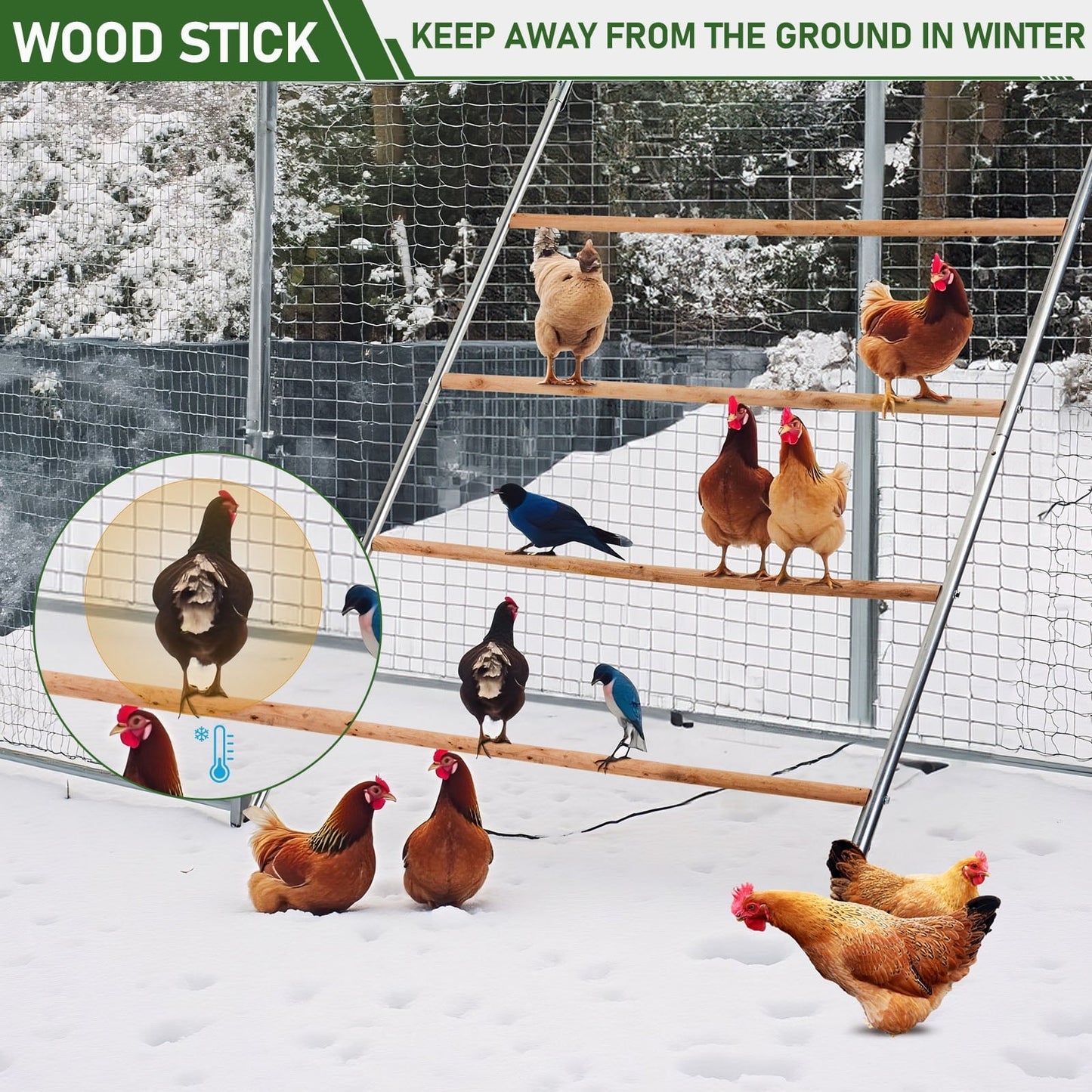 ZephyPaws Chicken Coop Roosting Perch, Farm Roost Toys for Chicks, Chicken Toys for Coop Accessories for Backyard Poultry, Easy to Assemble & Clean