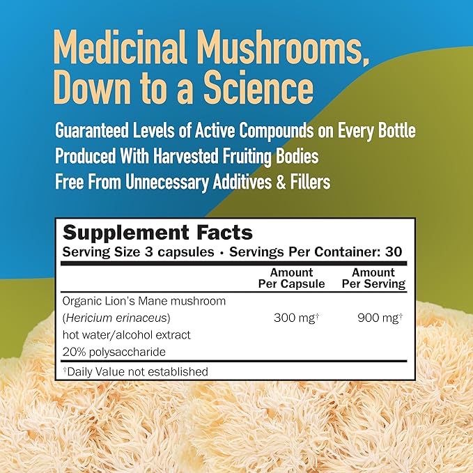 Lions Mane Mushroom Capsules, Memory & Concentration Support, Full Spectrum Extract, Mushroom Supplement for Adults, Hot Water Extracted Mushrooms, Vegetarian, 300MG, 90 ct