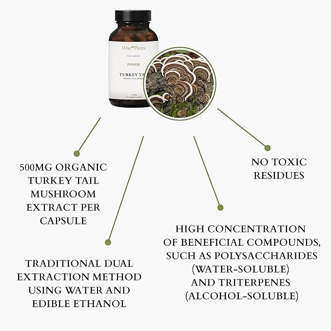 Turkey Tail Mushroom Supplement. Dual Extract, Pure Fruiting Body, 30% Polysaccharides, 500 mg, 120 vegecaps (60-Day Supply). Can Support Healthy Immune Function