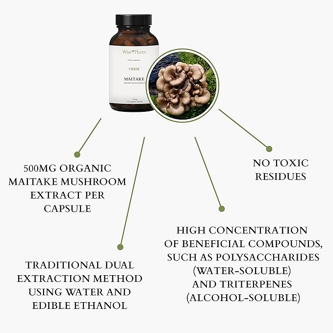 Maitake Mushroom Supplement. Dual Extract, Pure Fruiting Body, 30% Polysaccharides, 500 mg, 120 vegecaps (120-Day Supply). Healthy Immune Function and Energy Support.