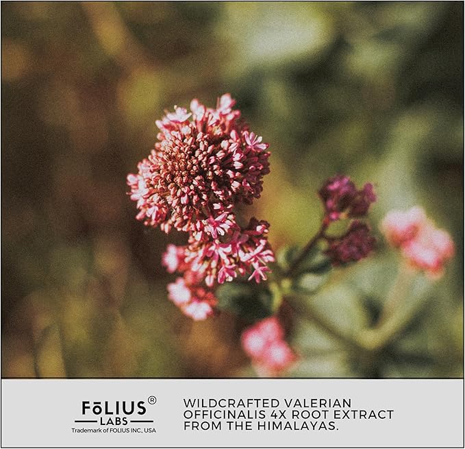 Valerian Root 4:1 Extract Capsules 750mg – Optimized Active Purity – 4X Concentration Valerian Root Extract Supplement - Gluten Free, Non-GMO - Promotes Relaxation - 120 Capsules