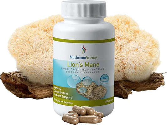 Lions Mane Mushroom Capsules, Memory & Concentration Support, Full Spectrum Extract, Mushroom Supplement for Adults, Hot Water Extracted Mushrooms, Vegetarian, 300MG, 90 ct