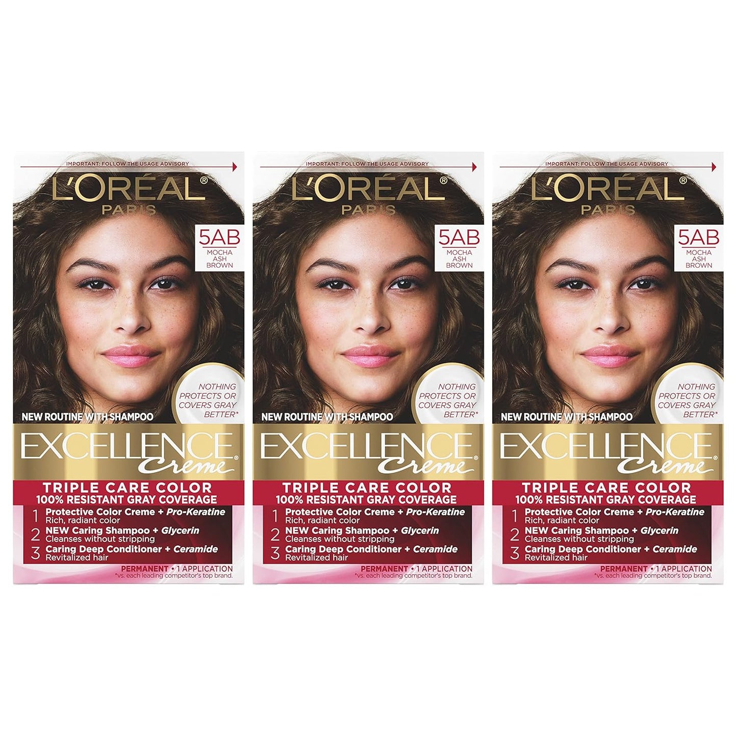 L'Oreal Paris Excellence 6G Light Golden Brown Hair Color | Gray Coverage, 8 Weeks