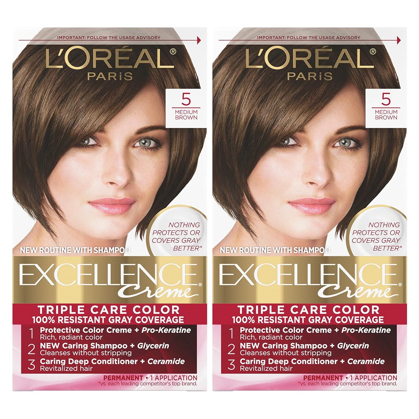 L'Oreal Paris Excellence 6G Light Golden Brown Hair Color | Gray Coverage, 8 Weeks