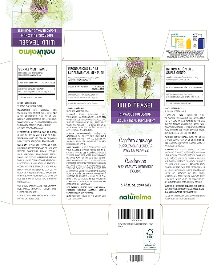 Naturalma Wild Teasel or Fuller's Teasel (Dipsacus fullonum or D. sylvestris) Root Alcohol-Free Tincture - 6.76 fl oz Liquid Extract in Drops - Herbal Supplement - Vegan